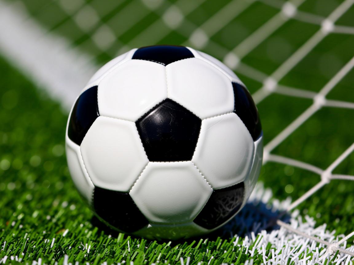 爱游戏-3D打印技术改进乒乓球拍设计,3d打印乒乓球拍底板 第3张